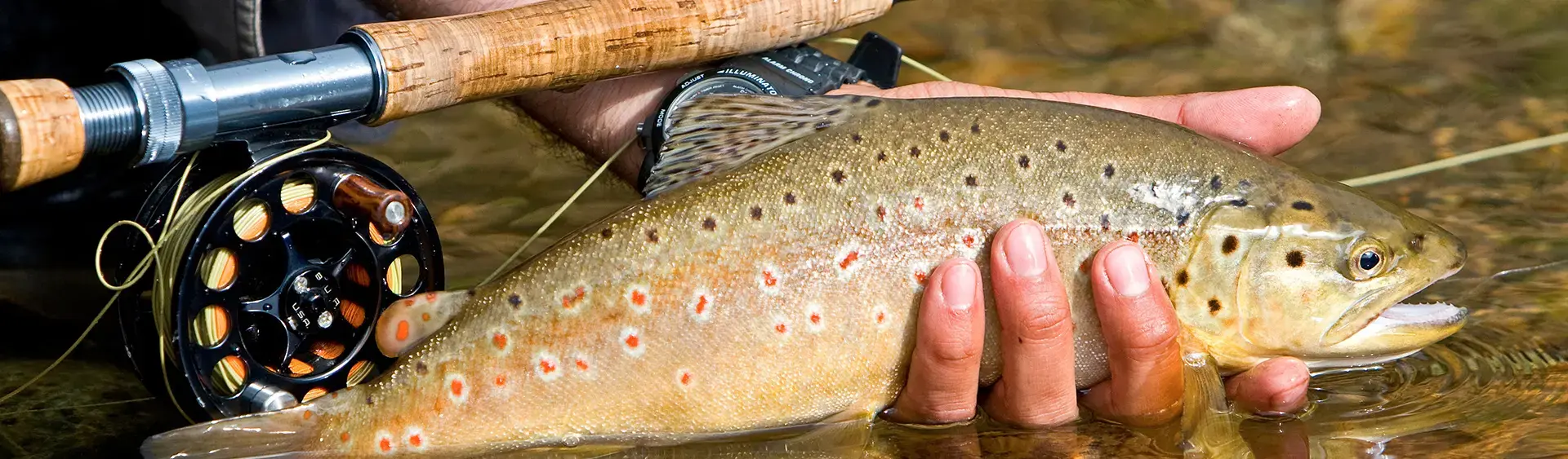Fischen am Achensee Der Achensee beherbergt eine Vielzahl an unterschiedlichen Fischarten und ist ein schönes Ausflugsziel für Angelliebhaber.