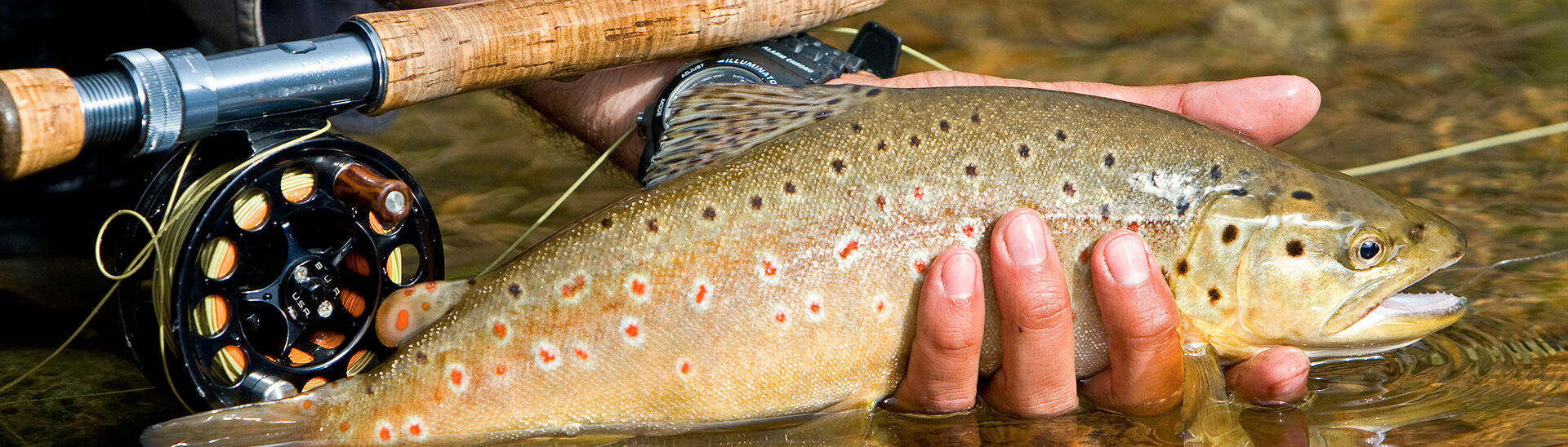 Fischen am Achensee Der Achensee beherbergt eine Vielzahl an unterschiedlichen Fischarten und ist ein schönes Ausflugsziel für Angelliebhaber.