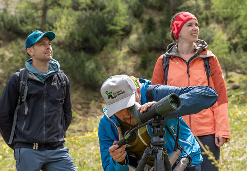Achensee Wanderprogramm