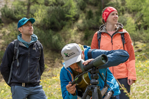 Achensee Hiking Programme On the way to the Moosenalm in Achenkirch, participants on the Nature Watch Tour gain fascinating insights into the region's diverse flora and fauna.