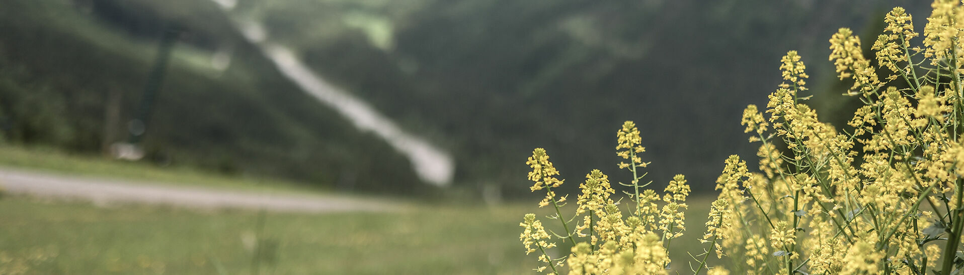 Naturlandschaft am Zwölferkopf Die Naturlandschaft am Zwölferkopf ist bei jedem Wetter ein toller Anblick.