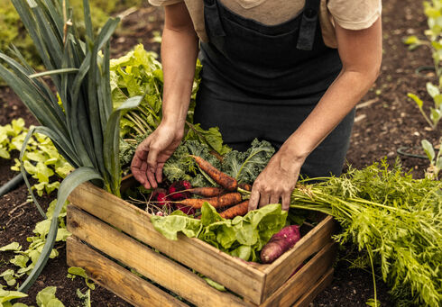 Ab-Hof Verkauf Regionale Lebensmittel aus dem Hofgarten