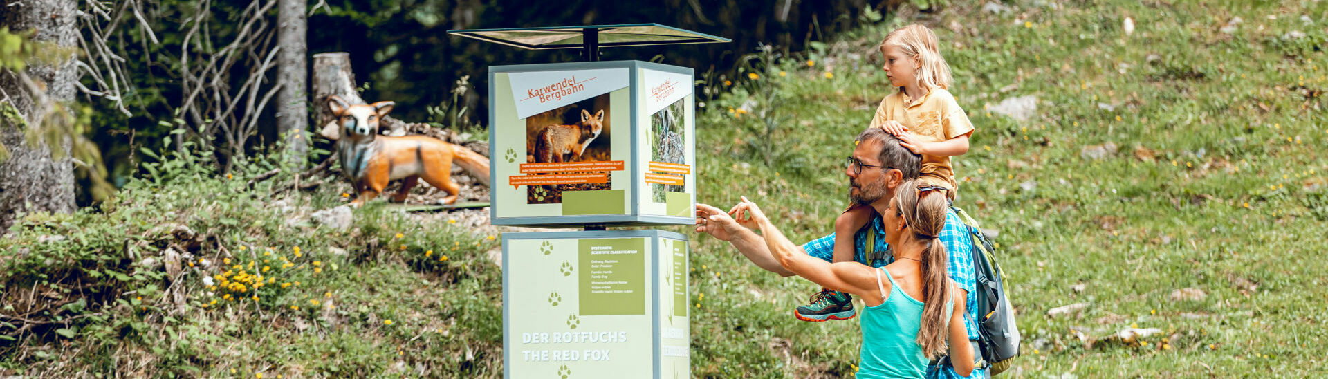 Der Alpentiere Rundwanderweg Auf dem Alpentiere Rundwanderweg mit Start bei der Karwendel-Bergbahn am Zwölferkopf könnt ihr Alpentiere in ihrer natürlichen Umgebung betrachten.