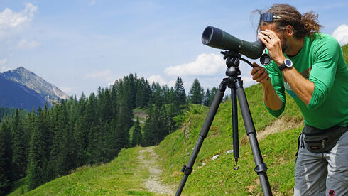 steinadler-wanderung-achensee-karwendel-zwoelferkopf.jpg