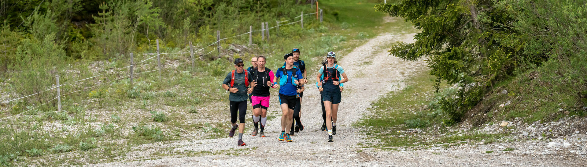 Running at Lake Achensee A group of runners out and about on gravel paths in the natural landscape of Lake Achensee.