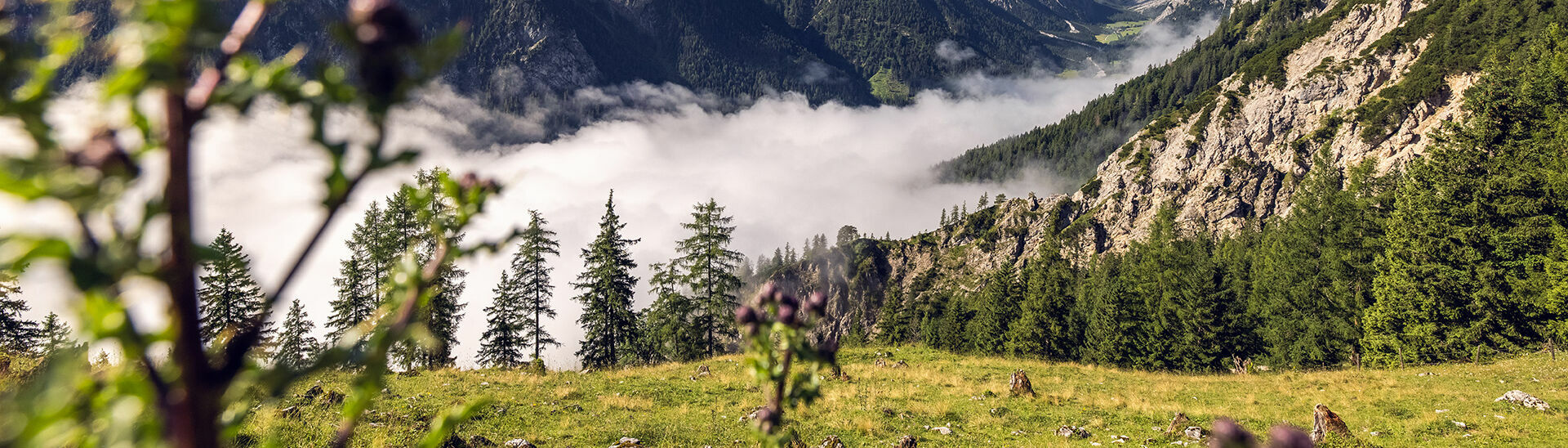 Naturpark Karwendel Das Nebelkleid legt sich hier mystisch über die Karwendeltäler des Naturparks.
