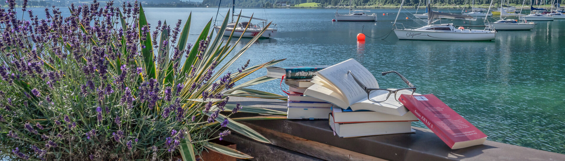 achensee.literatour Books from the event "achensee.literatour" specially arranged, backdropped by the spectacular scenery of Lake Achensee, several sailboats and the Ebner Joch.
