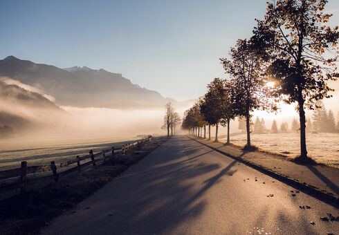 TEAM KARWENDEL Projekte Das Nebelkleid im Naturpark Karwendel lässt eine besonders mystische Morgenstimmung aufkommen.