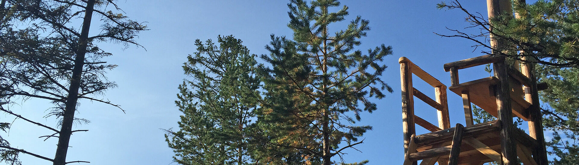 Kaiser Maximilian Rast in Achenkirch am Achensee Der hölzerner Thron, welcher sich bei der Kaiser Maximilian Rast befindet, ermöglicht einen wunderschönen Ausblick.
