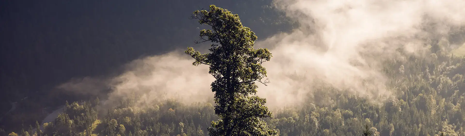 Landschaftsbild des Naturparks Karwendel Der Naturpark Karwendel wurde zum "Naturpark des Jahres 2020" gewählt.