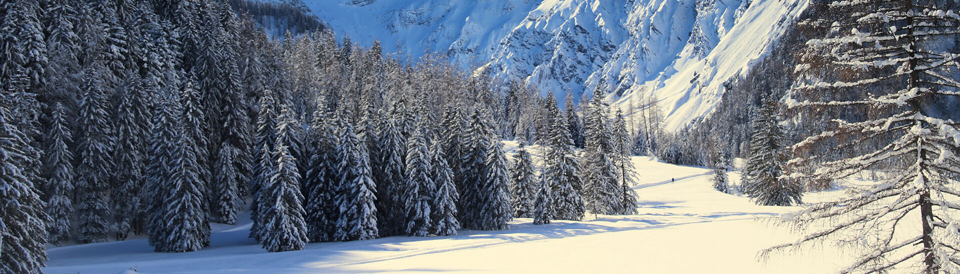 Lamsenspitze in Pertisau am Achensee Die Lamsenspitze im verschneiten Naturpark Karwendel in Pertisau am Achensee.