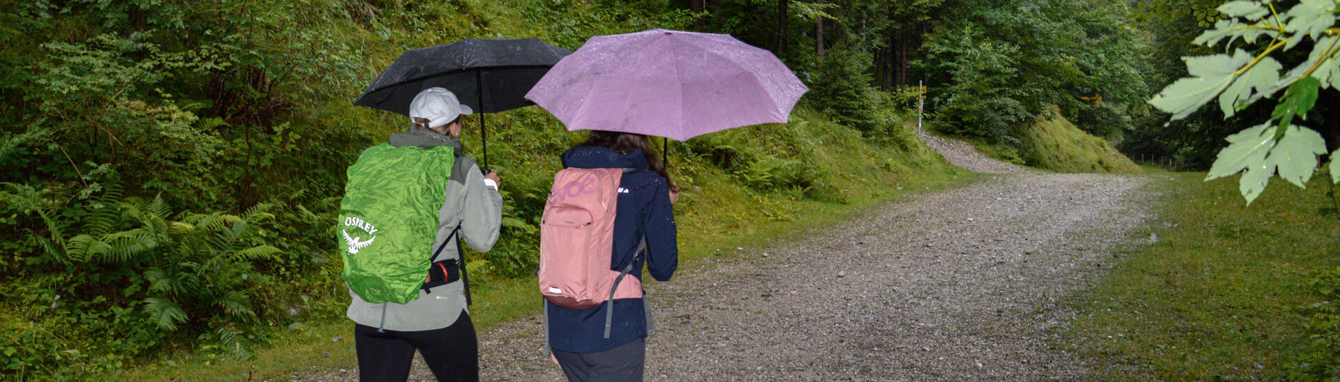 Hiking in rainy weather Two women go on a short hike in Pertisau, armed with umbrellas, and enjoy their outing despite the mixed weather.
