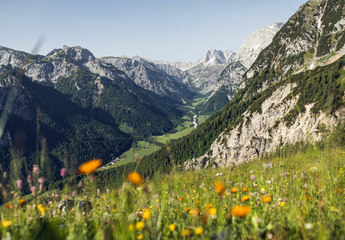 Naturpark Karwendel Das Falzthurntal im Naturpark Karwendel zeigt sich im Sommer von seiner schönsten Seite: Hohe, schroffe Berge ragen empor, umgeben von bunten Wiesen und malerischen Waldlandschaften.
