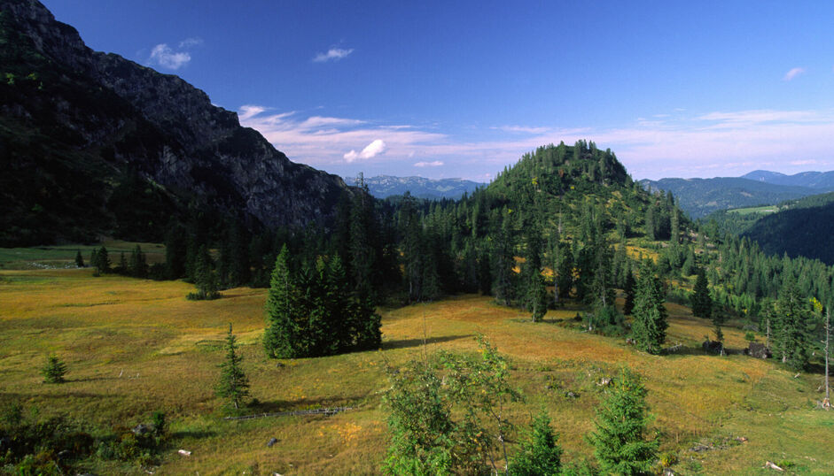 Moors in the Nature Park Karwendel The moors in the Nature Park Karwendel are ablaze with beautiful autumn colours.
