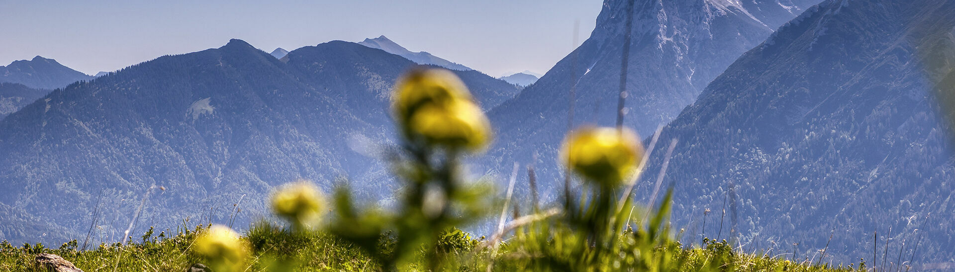 Naturlandschaft am Achensee mit Blick auf den Guffert Naturlandschaft am Achensee mit Blick auf den Guffert