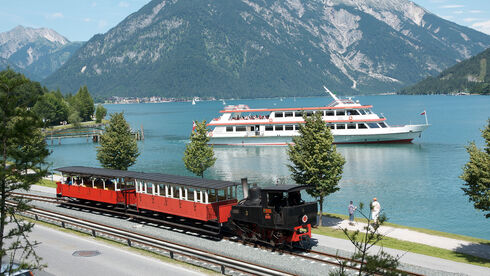 Alpakas am Achensee Tirol sterreich