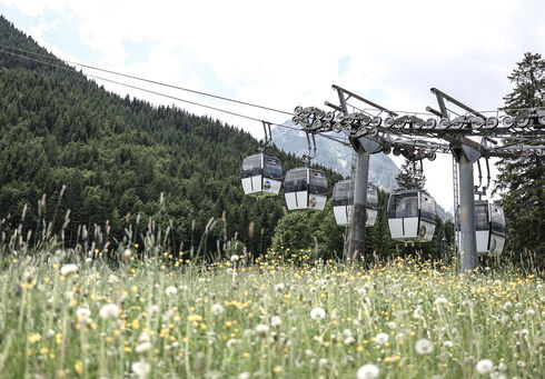 Karwendel-Bergbahn Die Karwendel Bergbahn über einem Blumenfeld im Sommer kurz nachdem sie die Bodenstation verlassen hat.
