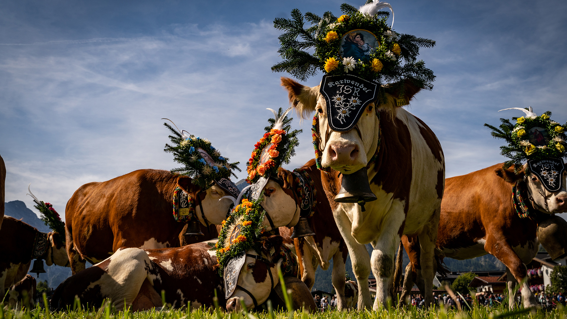 Almabtrieb der Gramai Alm