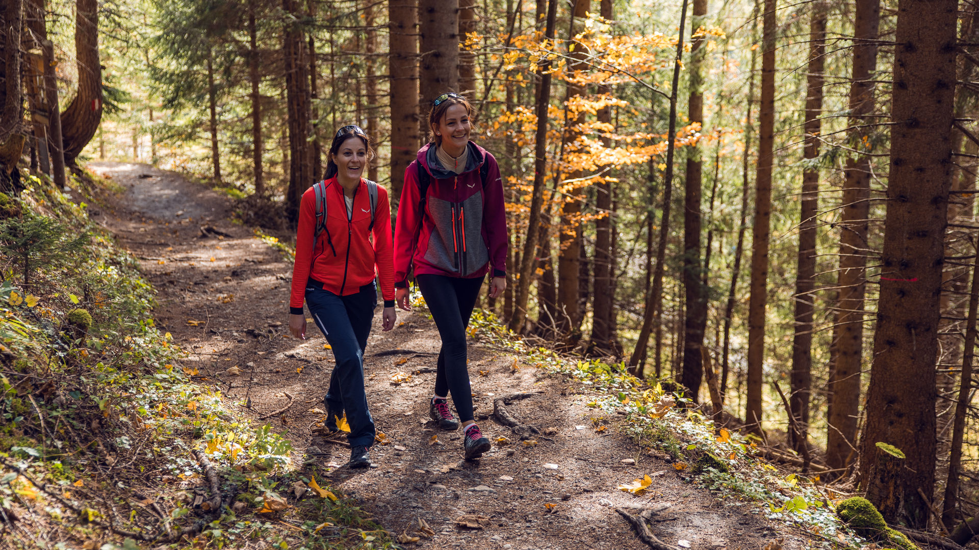 Herbstwanderung am Achensee