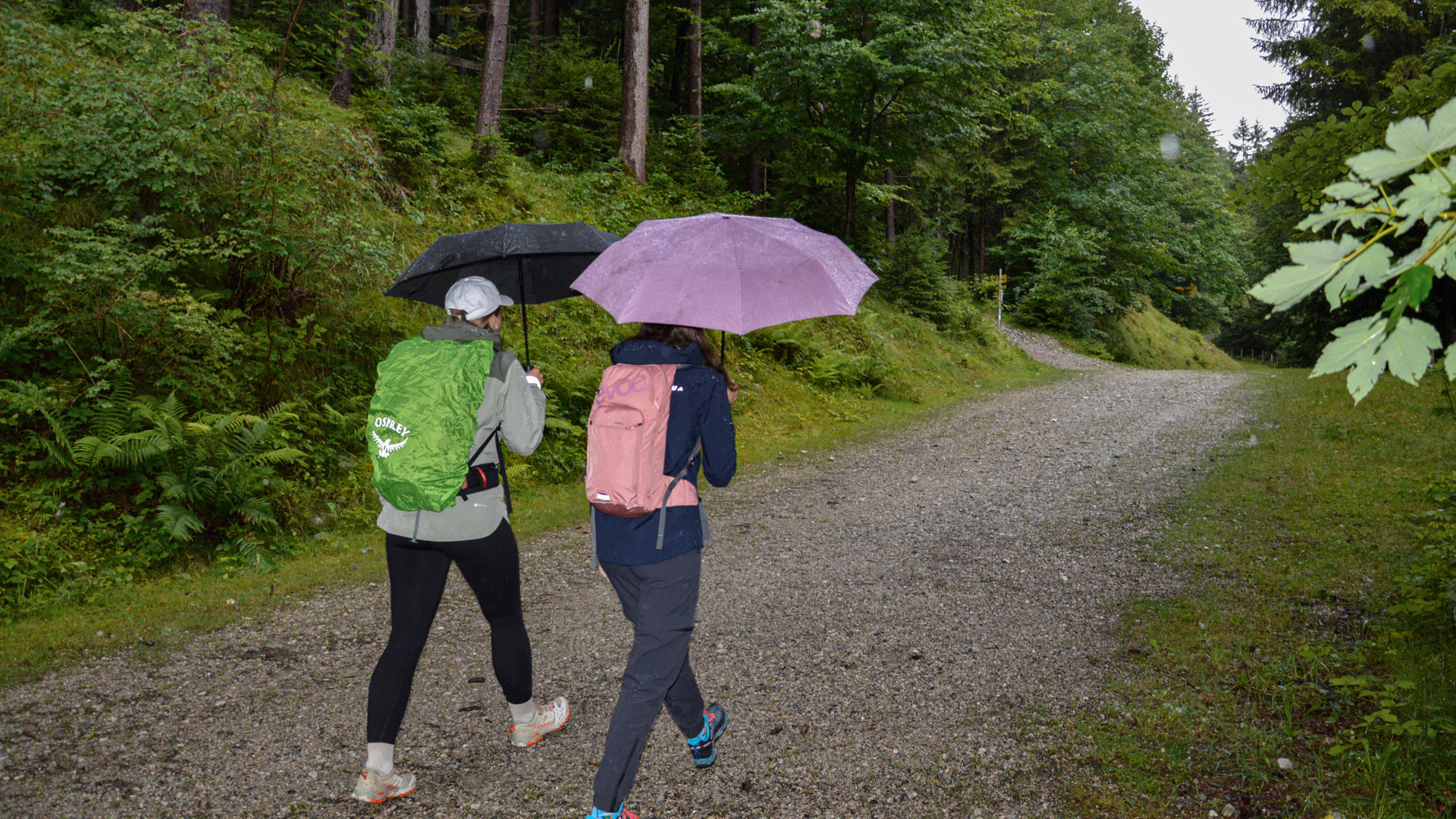 Wandern bei Regenwetter