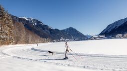 auf der Hundeloipe in Pertisau - klassisch und skating gespurt