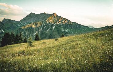 Panoramawanderung Panoramawanderung