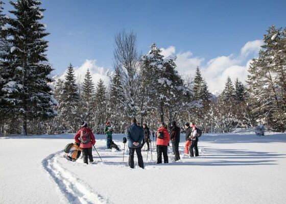 Wildtiere im Winter