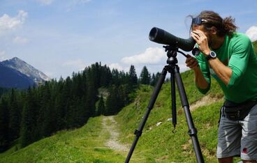 Steinadlerwanderung mit Naturpark-Rangern Steinadlerwanderung mit Naturpark-Rangern