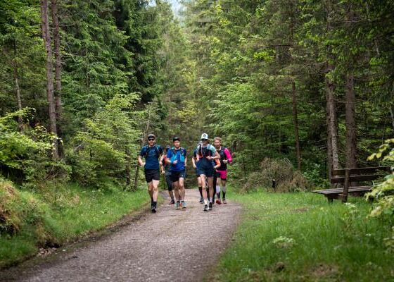 Achensee Laufcamp