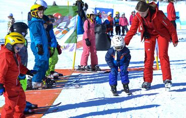 Probekarte Zwerglöwen Probekarte Zwerglöwen