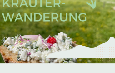 Wildkräuter Wildkräuter