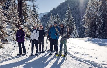 Wildlife watching Wildlife watching