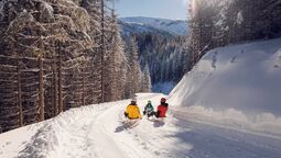 Rodelbahn Zwölferkopf Pertisau