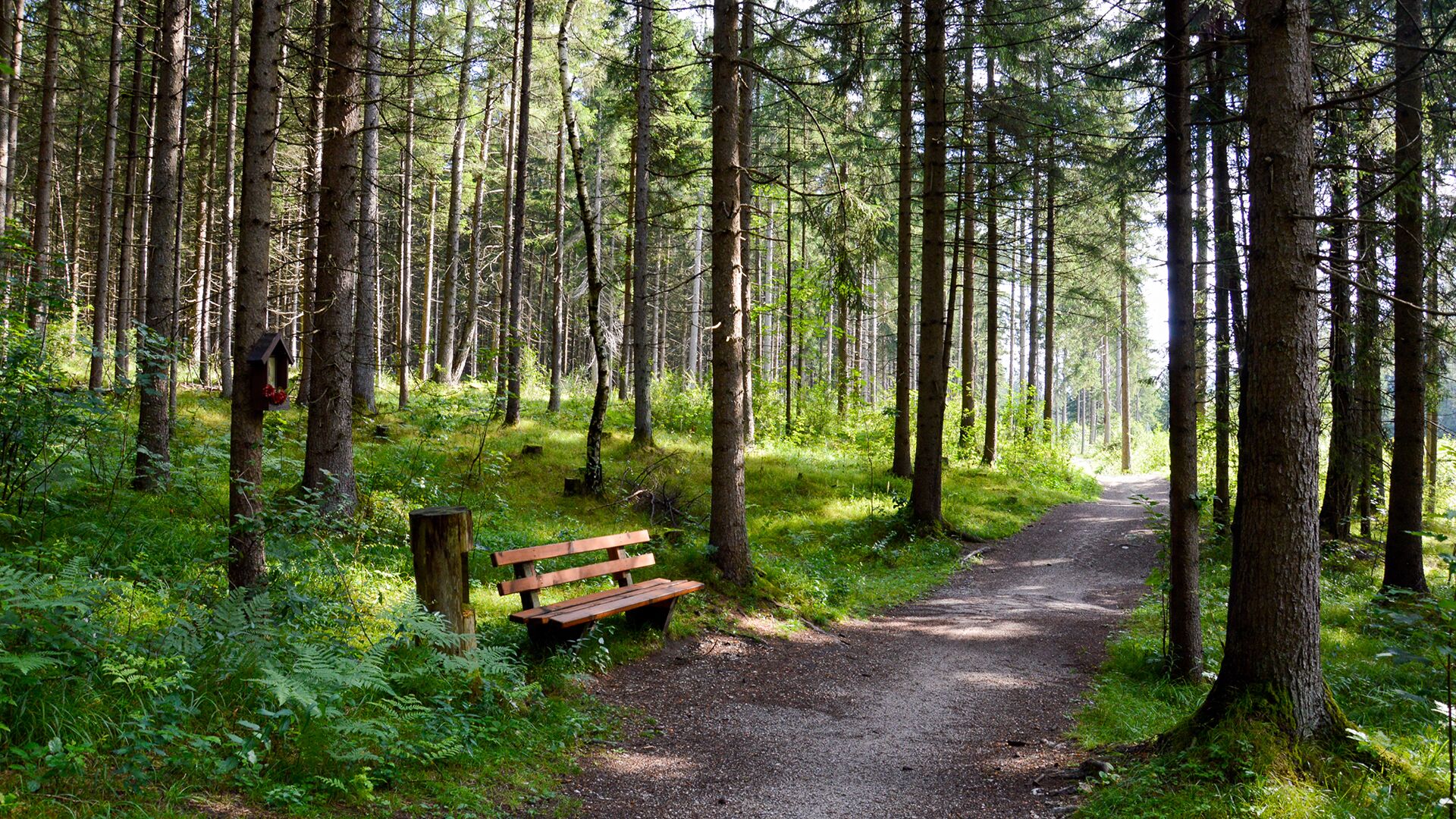 Wiesing - Camping Inntal - Grünangerl - Münster - Wiesing